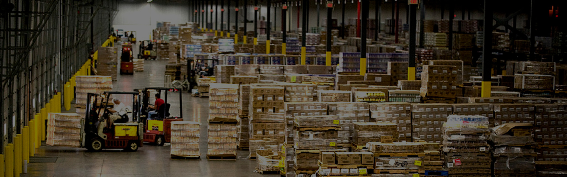 PROFESSIONAL WAREHOUSING